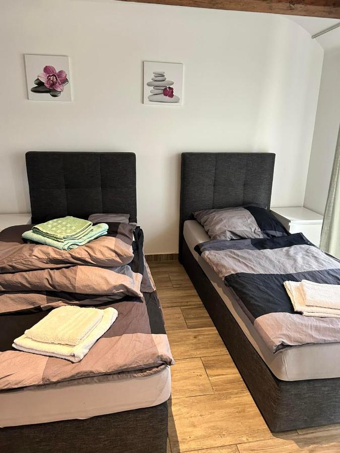 Nice Studio In Pankow برلين المظهر الخارجي الصورة