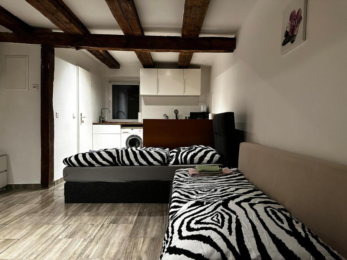 Nice Studio In Pankow برلين المظهر الخارجي الصورة